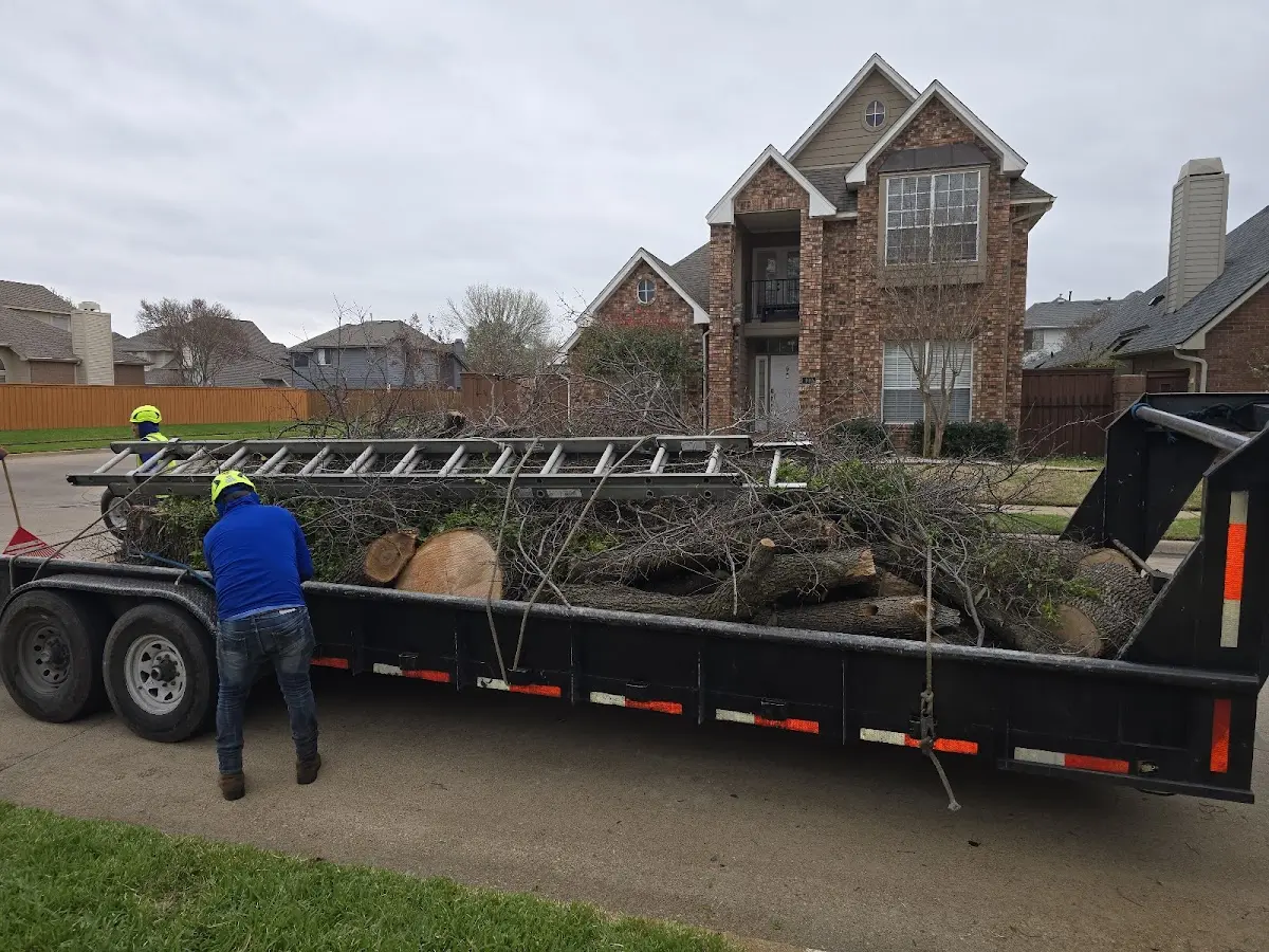 Expert Tree Fertilization with proper safety equipment in Boothbay Harbor